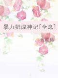 暴力奶妈网游小说