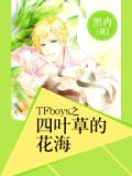 TFBOYS之四叶草的花海