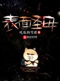 表面圣母 小说