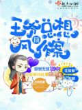 王爷总想夺我兵权