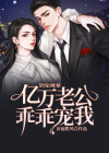 错嫁缠婚亿万老公乖乖宠我小说