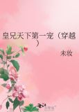 皇兄天下第一宠(穿越)百度网盘