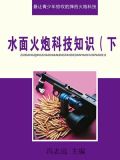 水面舰艇的主要攻防武器