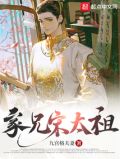 家兄宋太祖小说
