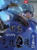 英雄联盟之竞技之魂