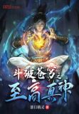 斗破苍穹之至高真神境界排名