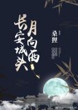 长安城头月向西晋江