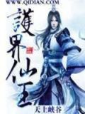 护界仙王 天上峡谷