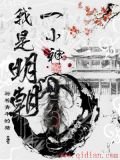 我是明朝一小神TXT下载