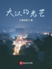 大汉的光芒 小说