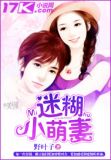 迷糊小萌妻小说