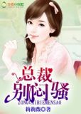 腹黑闷骚总裁小说