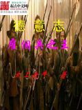 罗马 雇佣兵