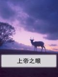 上帝之眼符号