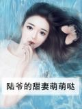 小说名:陆爷的呆萌甜妻