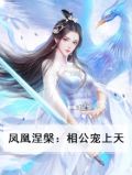 第一章凤凰涅浴火重生