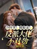 谁说我结不了婚第一集