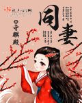 同妻善策