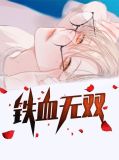 铁血无双破极
