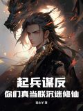 起兵谋反的小说