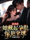 分手后,她藏起孕肚惊艳全球! 第187章