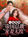 一夜锁情 总裁先生请温柔结局