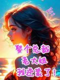 小说娶个老婆是大佬