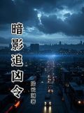 暗夜追凶小说讲的什么