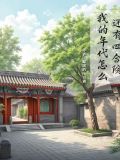 我的年代怎么还有四合院小说