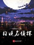 日娱名侦探TXT下载