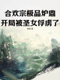 主角是合欢宗炉鼎,后来反吸