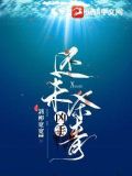 凶手还未杀青小说