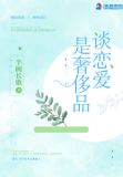 谈恋爱是奢侈品小说