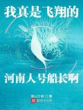 我真是飞翔的河南人号船长啊百度云