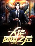 顶级大佬回国了小说