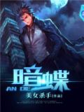 暗蝶电视剧