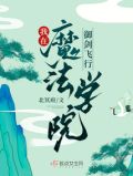 在魔法学院的小说