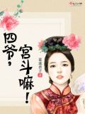 四爷,宫斗嘛!TXT下载