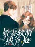 娇妻要抱抱蓝少暖心宝