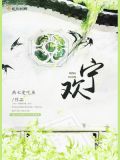 宁欢欢宋清宴大结局