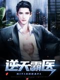 逆天村医小说