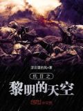 抗日之黎明天空在线阅读