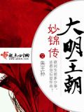 大明王朝妙锦传 朱王孙是谁