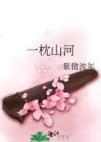 一枕山河 紫微流年