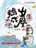 鸩妃小说