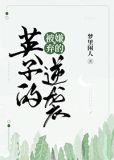 被嫌弃的英子的逆袭晋江