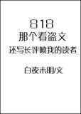 小说盗文