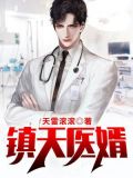 镇天神婿全文目录