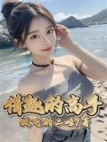 情趣的高手