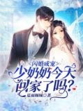 闪婚成宠少奶奶今天回家了吗全文免费